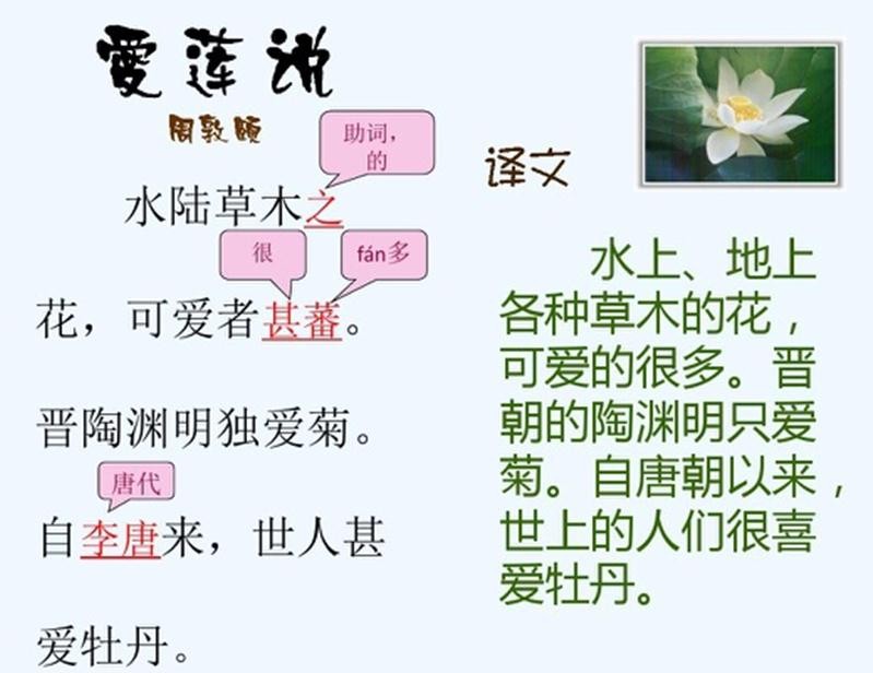 愛蓮說2.jpg