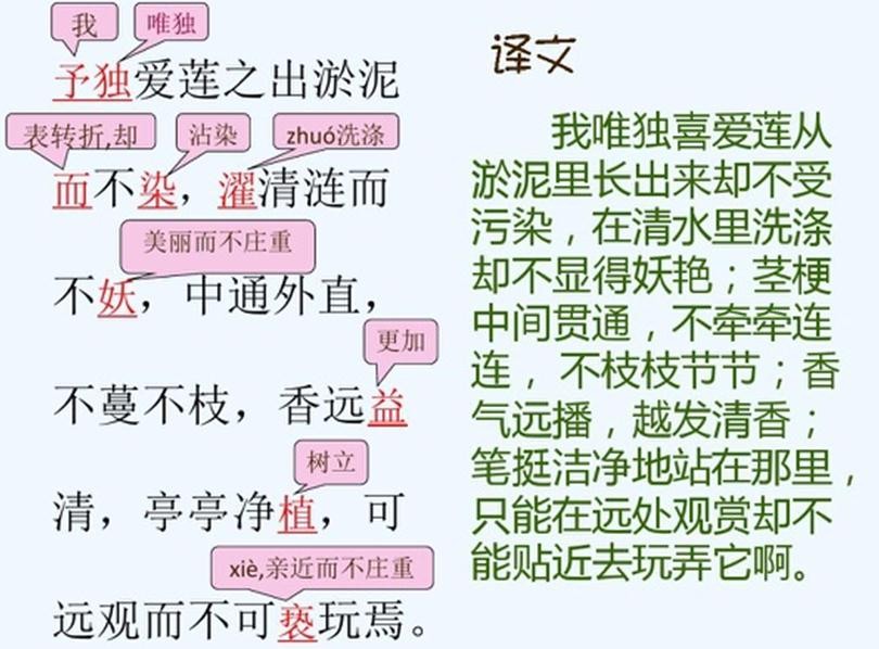 愛蓮說3.jpg