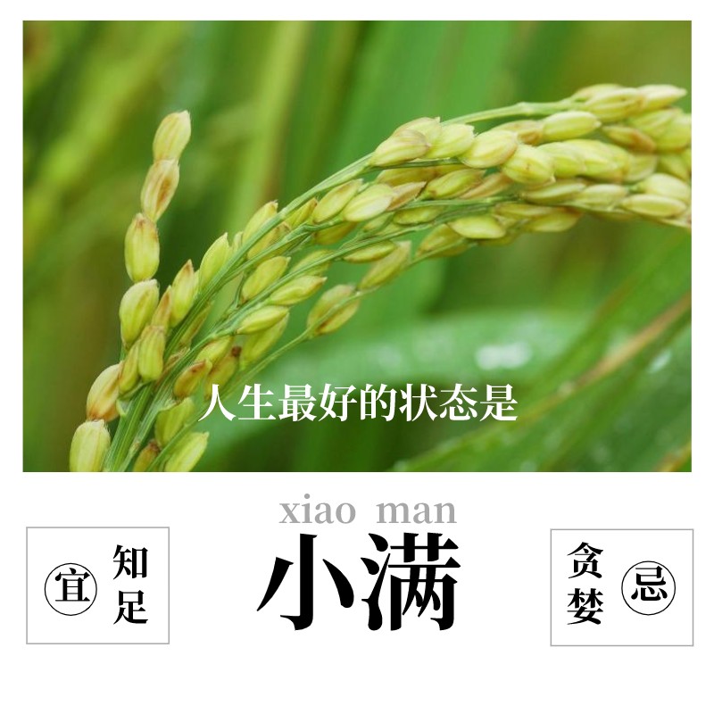 配圖4.png