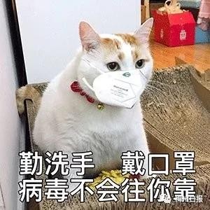 微信圖片_20200619111214.jpg