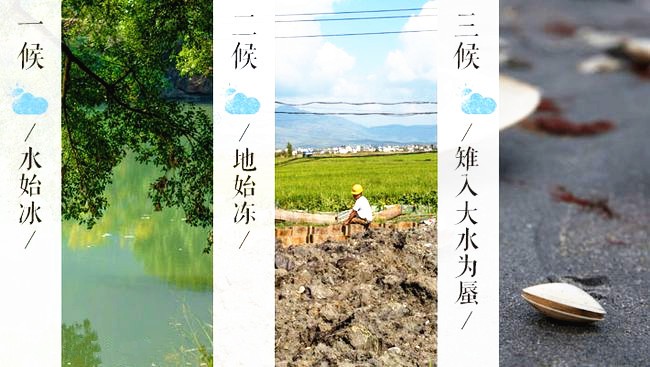 配圖2.jpg