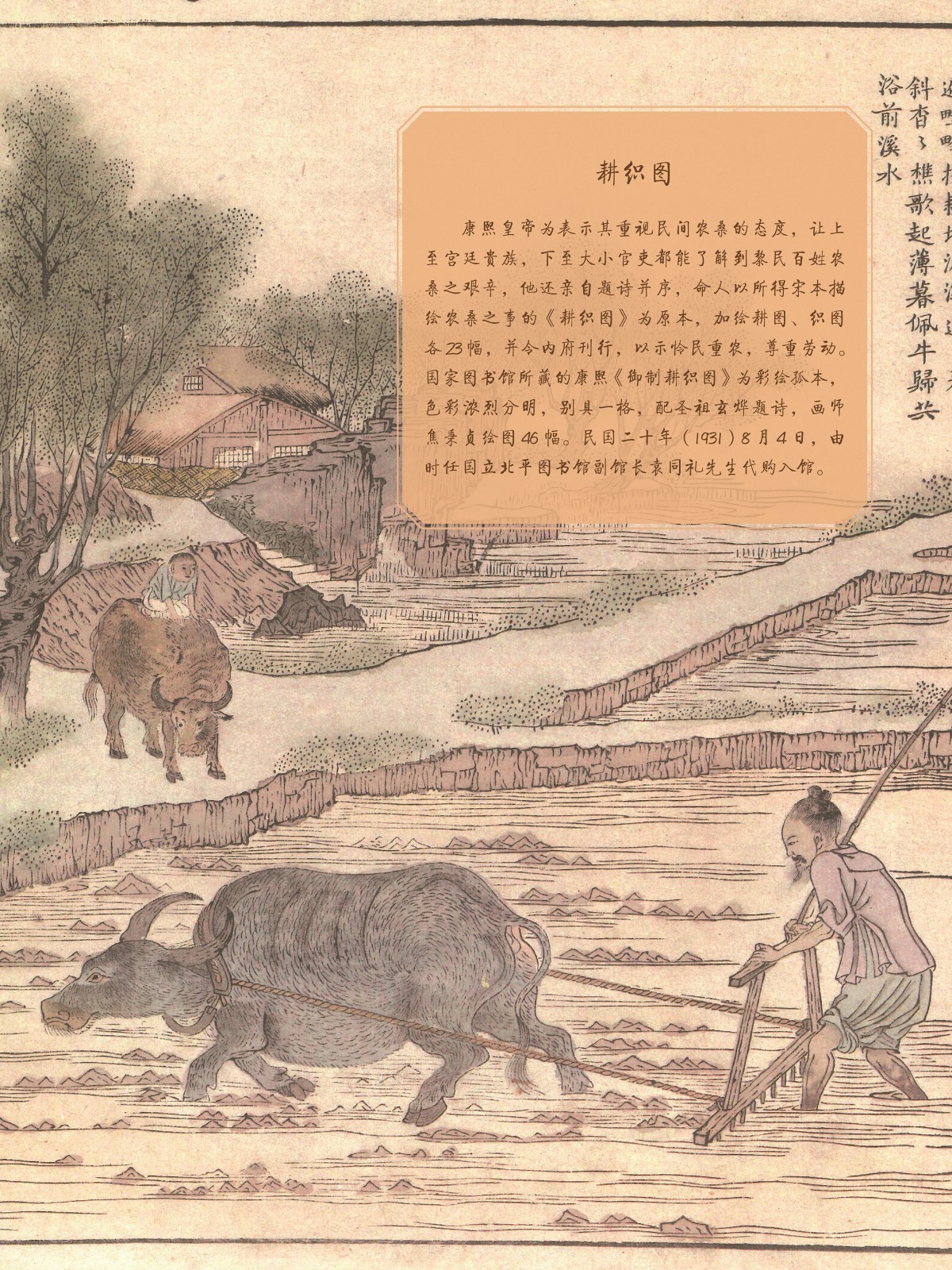 辛丑話牛34_副本.jpg