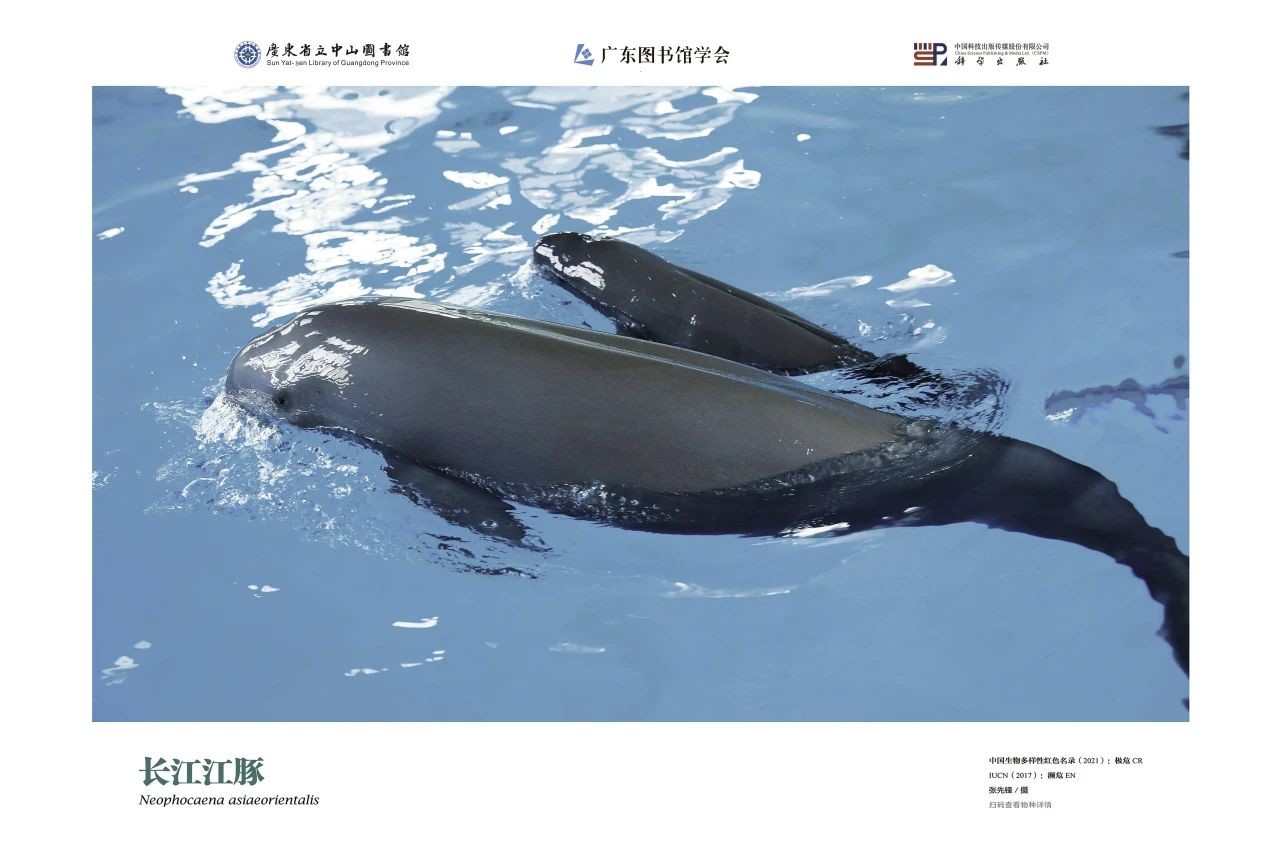 圖片12.jpg