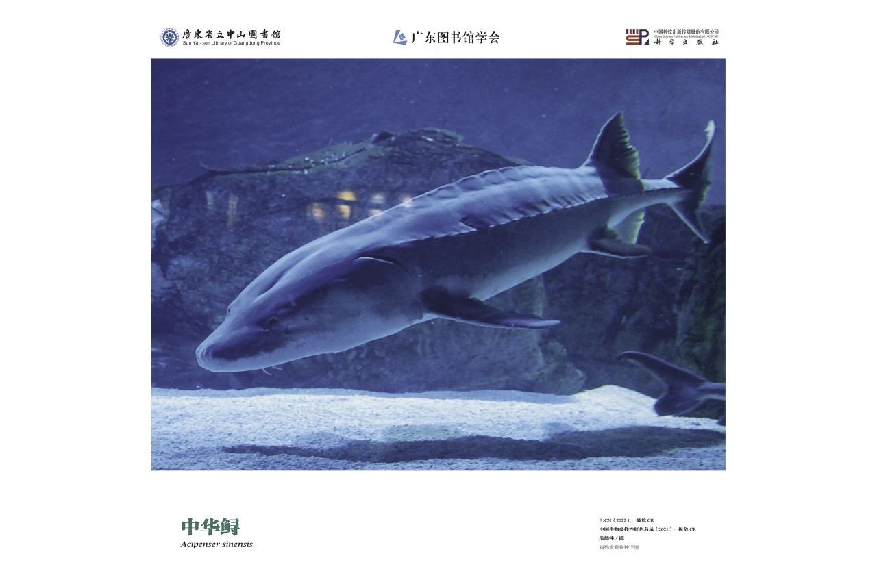 圖片13.jpg