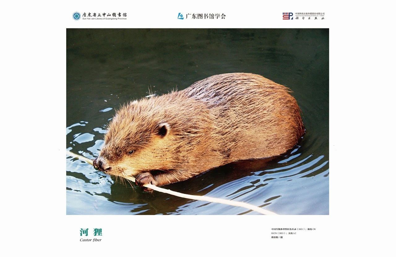 圖片14.jpg
