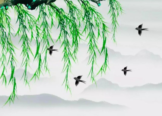 微信圖片_20240420091312.png